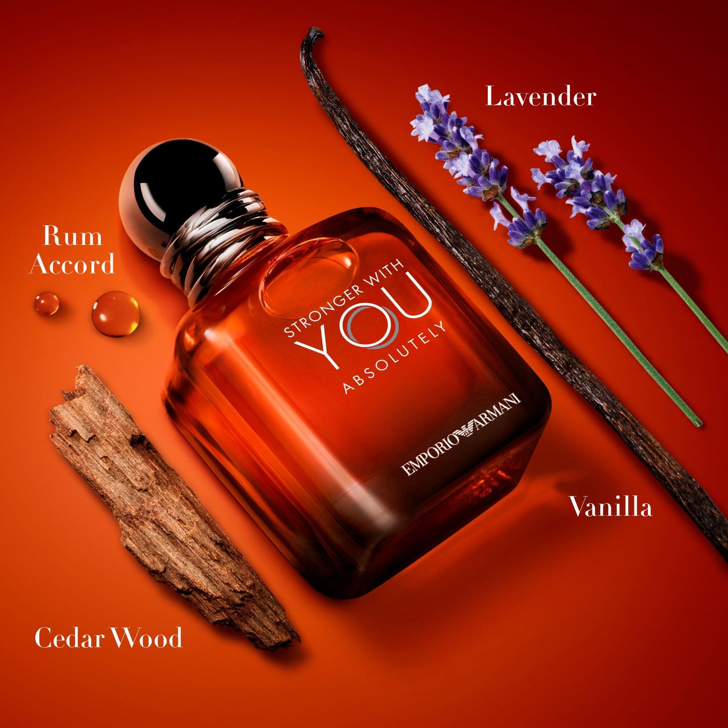 Stronger With You Absolutely Cologne